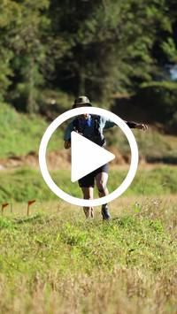 BIB:  <button type="button" onclick="openModal(26565591)" class="btn btn-primary btn-sm float-right" data-toggle="modal" data-target=".modal-high-quality">
                <i class="fa fa-download"></i> Download
                </button>